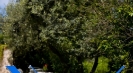Italian holiday villa