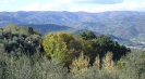 Rental villa in Italy