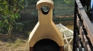 Rental villas Sicily
