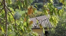 Italian holiday villas by the sea