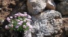 Villas for rent Lido di Noto by the sea