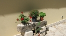 Italian rental villa