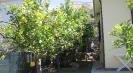 Villa for rent Sicily