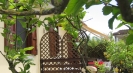 Italian villas for rent