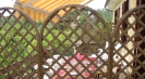 Villa for rent in Italy