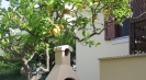 Rental villa Sicily