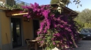 Villa in affitto Sant'Agata sui due Golfi Villa Viola, affitto appartamenti per vacanze Sant'Agata sui due Golfi: Villa Viola, vacanze Costiera Amalfitana