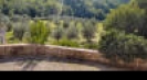 Villa in affitto Castellina in Chianti Villa Antico Monastero, affitto appartamenti per vacanze Castellina in Chianti: Villa Antico Monastero, vacanze Toscana e dintorni