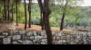 Holiday villas in Italy