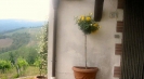 Rental villa Castellina in Chianti