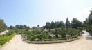 Rental villa in Italy