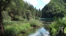 Rental villas Marche