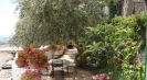 the garden