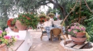 the garden