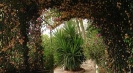 Villa for rent Amalfi Coast by the sea