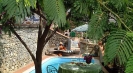 Rental villa in Italy