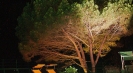 Holiday villas Massa Lubrense