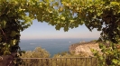 Villa in affitto Massa Lubrense